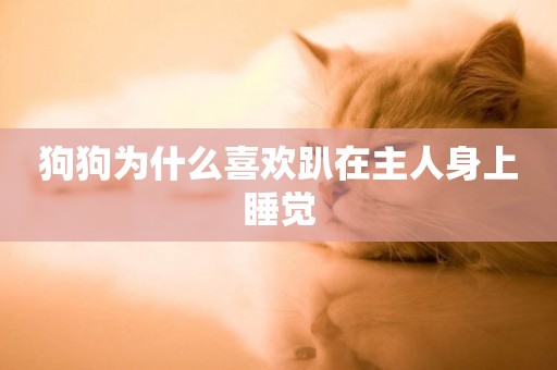 狗狗為什么喜歡趴在主人身上睡覺
