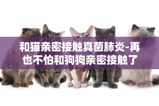 和貓親密接觸真菌肺炎-再也不怕和狗狗親密接觸了