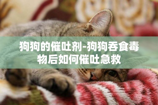 狗狗的催吐劑-狗狗吞食毒物后如何催吐急救