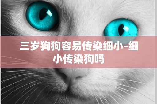 三歲狗狗容易傳染細小-細小傳染狗嗎