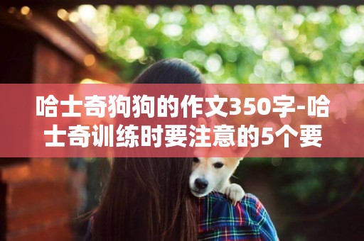 哈士奇狗狗的作文350字-哈士奇訓練時要注意的5個要點
