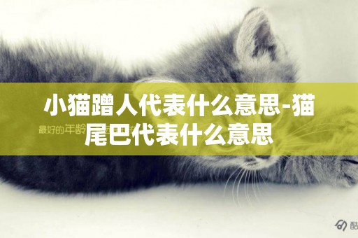 小貓蹭人代表什么意思-貓尾巴代表什么意思