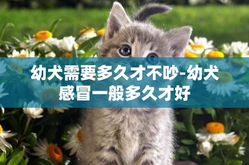 幼犬需要多久才不吵-幼犬感冒一般多久才好
