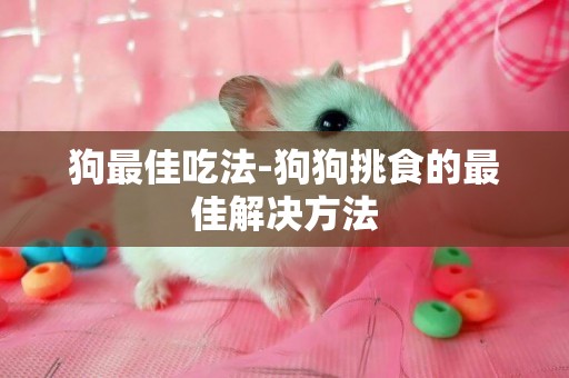 狗最佳吃法-狗狗挑食的最佳解決方法