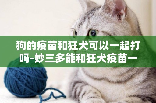 狗的疫苗和狂犬可以一起打嗎-妙三多能和狂犬疫苗一起打嗎