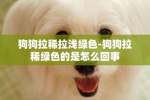 狗狗拉稀拉淺綠色-狗狗拉稀綠色的是怎么回事