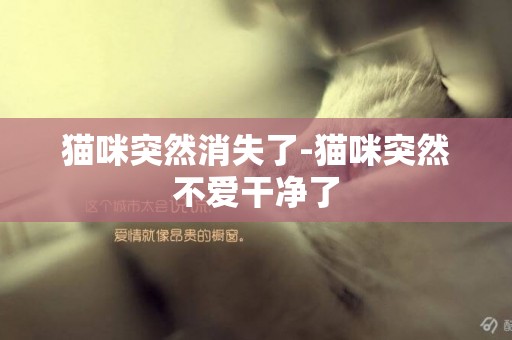 貓咪突然消失了-貓咪突然不愛干凈了