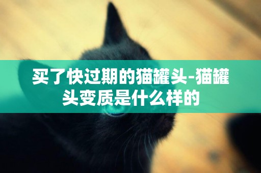 買了快過期的貓罐頭-貓罐頭變質是什么樣的