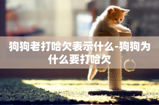 狗狗老打哈欠表示什么-狗狗為什么要打哈欠