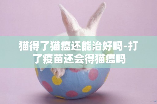 貓得了貓瘟還能治好嗎-打了疫苗還會得貓瘟嗎