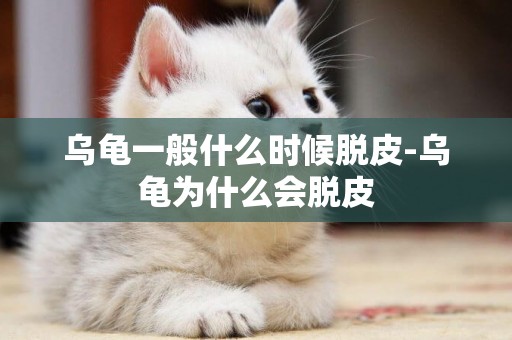 烏龜一般什么時候脫皮-烏龜為什么會脫皮