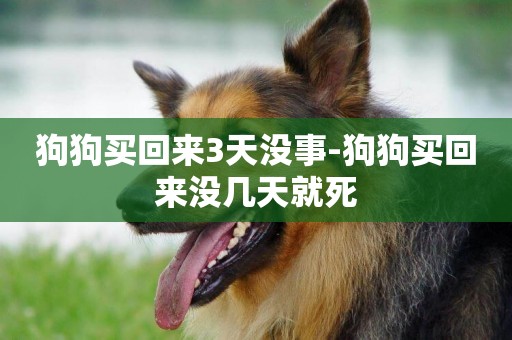 狗狗買回來3天沒事-狗狗買回來沒幾天就死