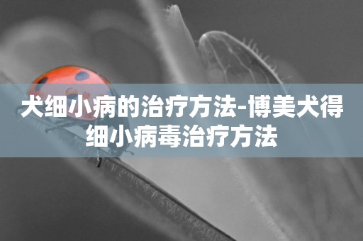 犬細小病的治療方法-博美犬得細小病毒治療方法