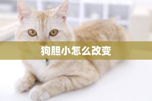 狗膽小怎么改變