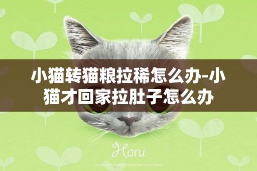 小貓轉貓糧拉稀怎么辦-小貓才回家拉肚子怎么辦
