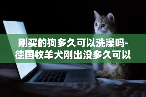 剛買的狗多久可以洗澡嗎-德國牧羊犬剛出沒多久可以洗澡嗎
