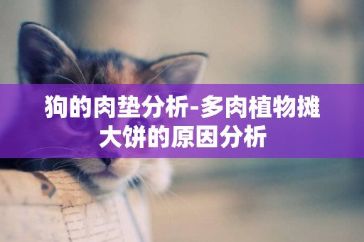 狗的肉墊分析-多肉植物攤大餅的原因分析