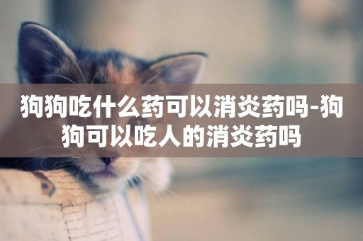狗狗吃什么藥可以消炎藥嗎-狗狗可以吃人的消炎藥嗎
