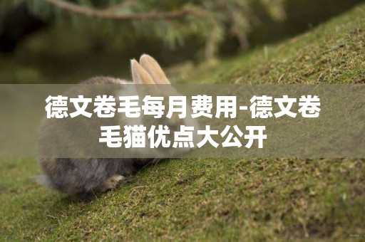 德文卷毛每月費用-德文卷毛貓優點大公開