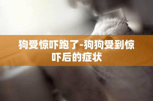 狗受驚嚇跑了-狗狗受到驚嚇后的癥狀