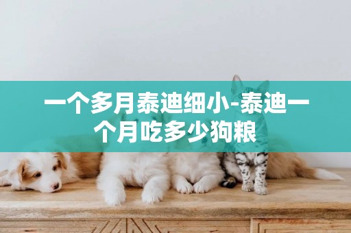 一個多月泰迪細小-泰迪一個月吃多少狗糧