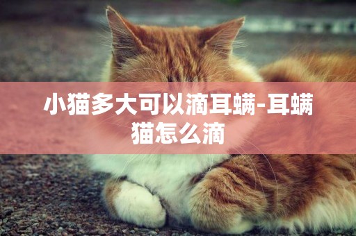 小貓多大可以滴耳螨-耳螨貓怎么滴