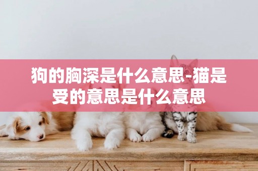 狗的胸深是什么意思-貓是受的意思是什么意思