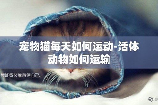 寵物貓每天如何運動-活體動物如何運輸
