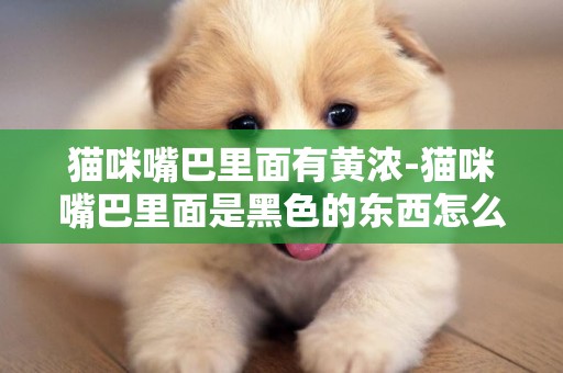 貓咪嘴巴里面有黃濃-貓咪嘴巴里面是黑色的東西怎么回事