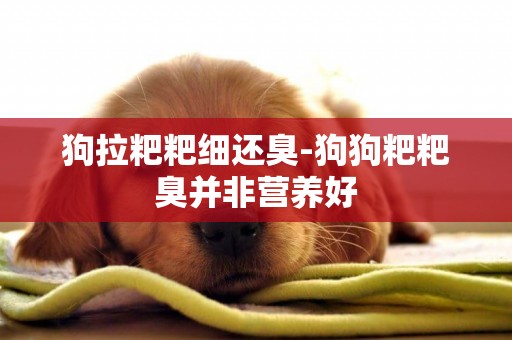 狗拉粑粑細還臭-狗狗粑粑臭并非營養好