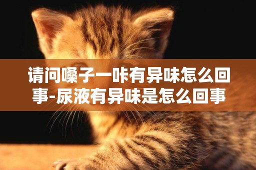 請問嗓子一咔有異味怎么回事-尿液有異味是怎么回事