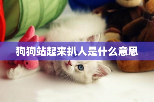 狗狗站起來扒人是什么意思