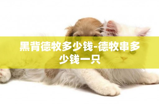 黑背德牧多少錢-德牧串多少錢一只