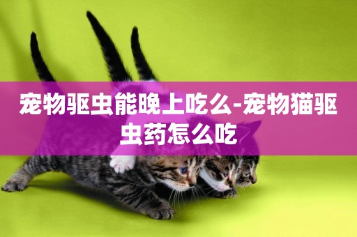 寵物驅蟲能晚上吃么-寵物貓驅蟲藥怎么吃