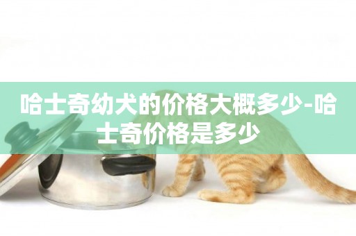 哈士奇幼犬的價格大概多少-哈士奇價格是多少