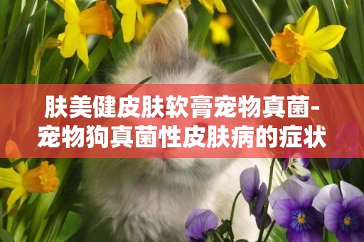 膚美健皮膚軟膏寵物真菌-寵物狗真菌性皮膚病的癥狀及治療