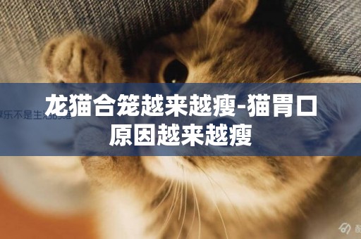龍貓合籠越來越瘦-貓胃口原因越來越瘦