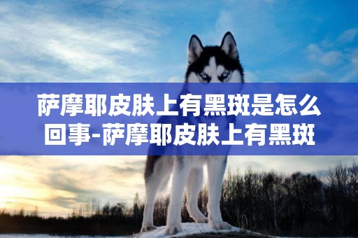 薩摩耶皮膚上有黑斑是怎么回事-薩摩耶皮膚上有黑斑怎么辦