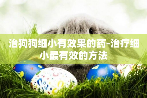 治狗狗細小有效果的藥-治療細小最有效的方法