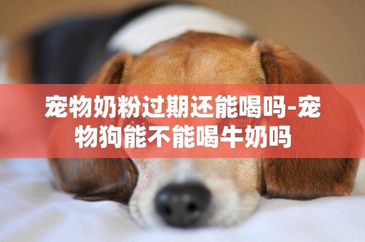 寵物奶粉過期還能喝嗎-寵物狗能不能喝牛奶嗎