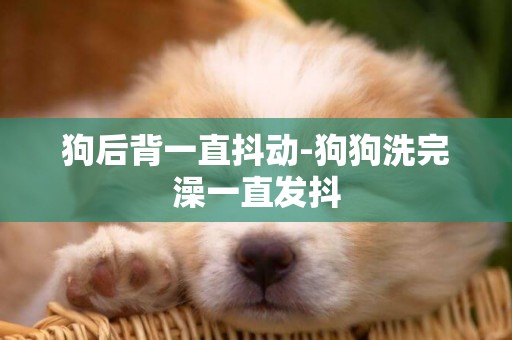 狗后背一直抖動-狗狗洗完澡一直發抖
