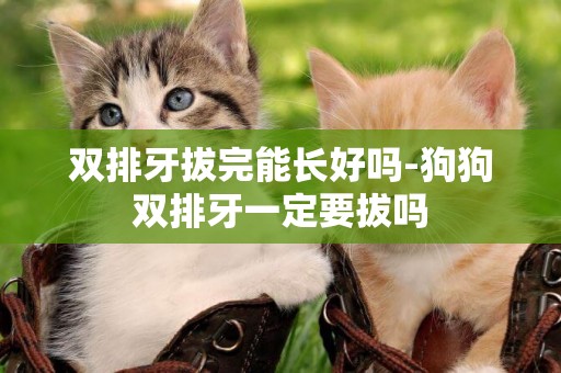 雙排牙拔完能長好嗎-狗狗雙排牙一定要拔嗎