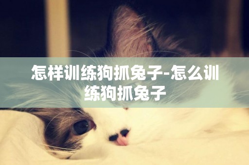 怎樣訓練狗抓兔子-怎么訓練狗抓兔子