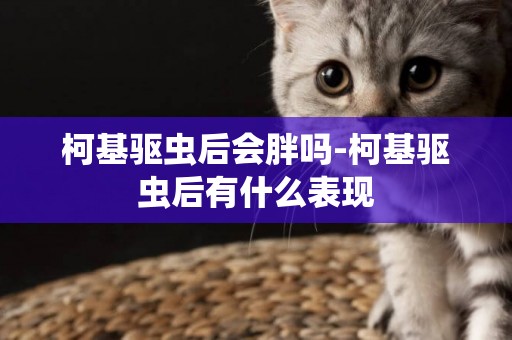 柯基驅蟲后會胖嗎-柯基驅蟲后有什么表現