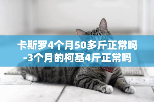 卡斯羅4個月50多斤正常嗎-3個月的柯基4斤正常嗎
