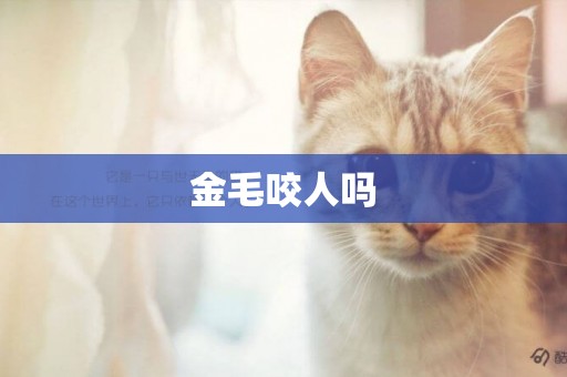 金毛咬人嗎 金毛咬人嗎