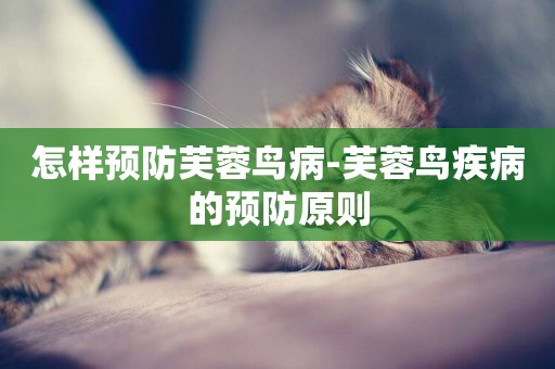 怎樣預防芙蓉鳥病-芙蓉鳥疾病的預防原則