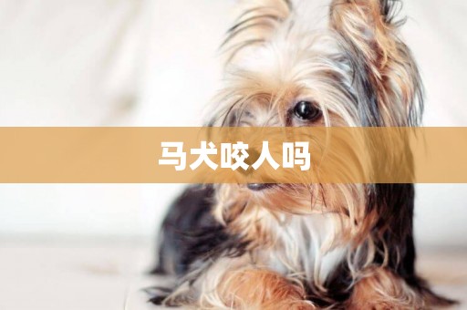 馬犬咬人嗎