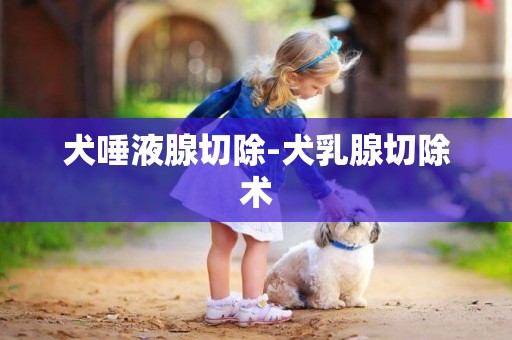犬唾液腺切除-犬乳腺切除術