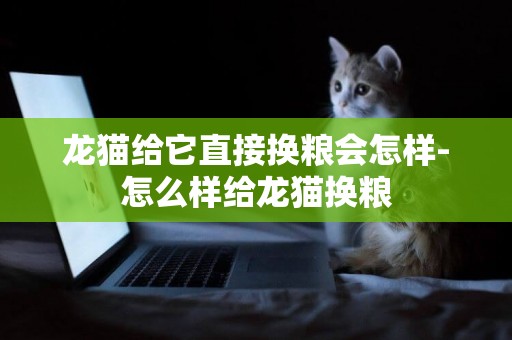 龍貓給它直接換糧會怎樣-怎么樣給龍貓換糧
